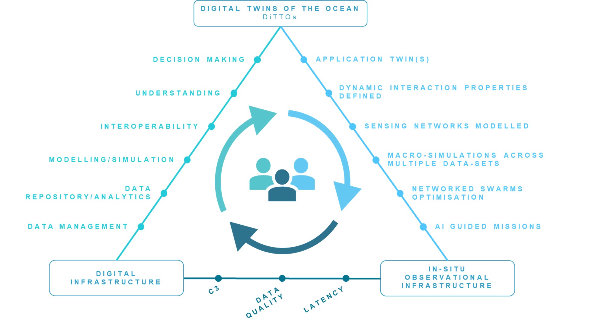 NZOC digital triangle